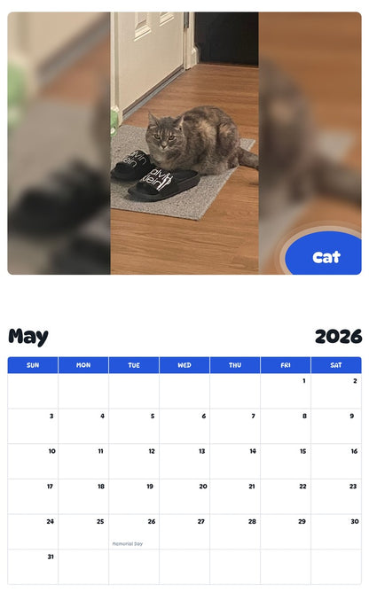 2026 - 2027 Cat - Pawidols Pet Calendar