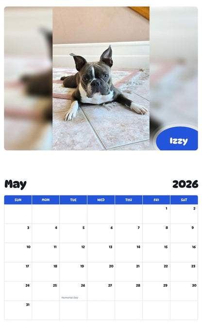 2026 - 2027 Izzy - Pawidols Pet Calendar