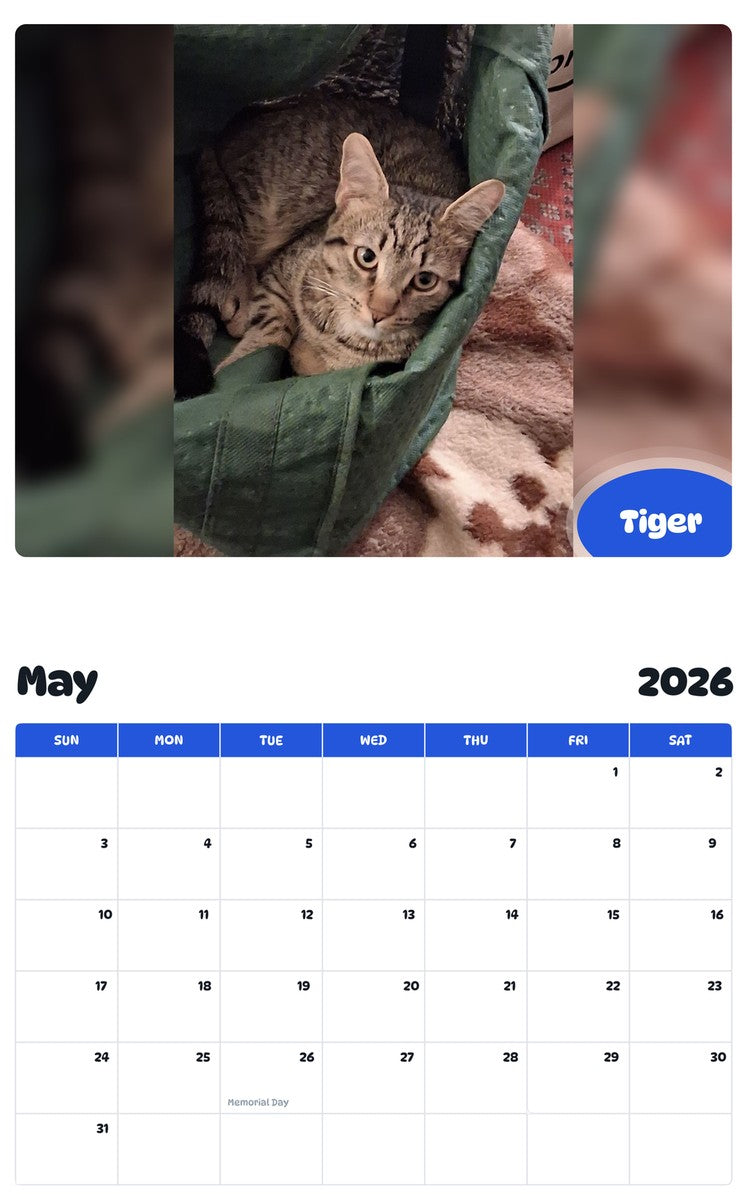 2026 - 2027 Tiger - Pawidols Pet Calendar