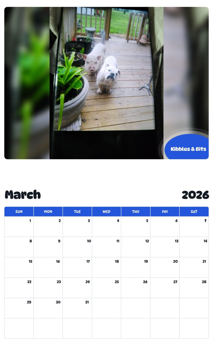 November 2025 - October 2026 Kibbles & Bits - Pawidols Pet Calendar