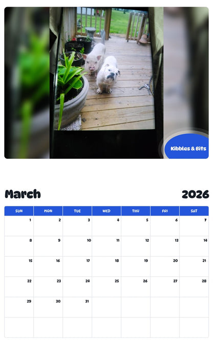 November 2025 - October 2026 Kibbles & Bits - Pawidols Pet Calendar