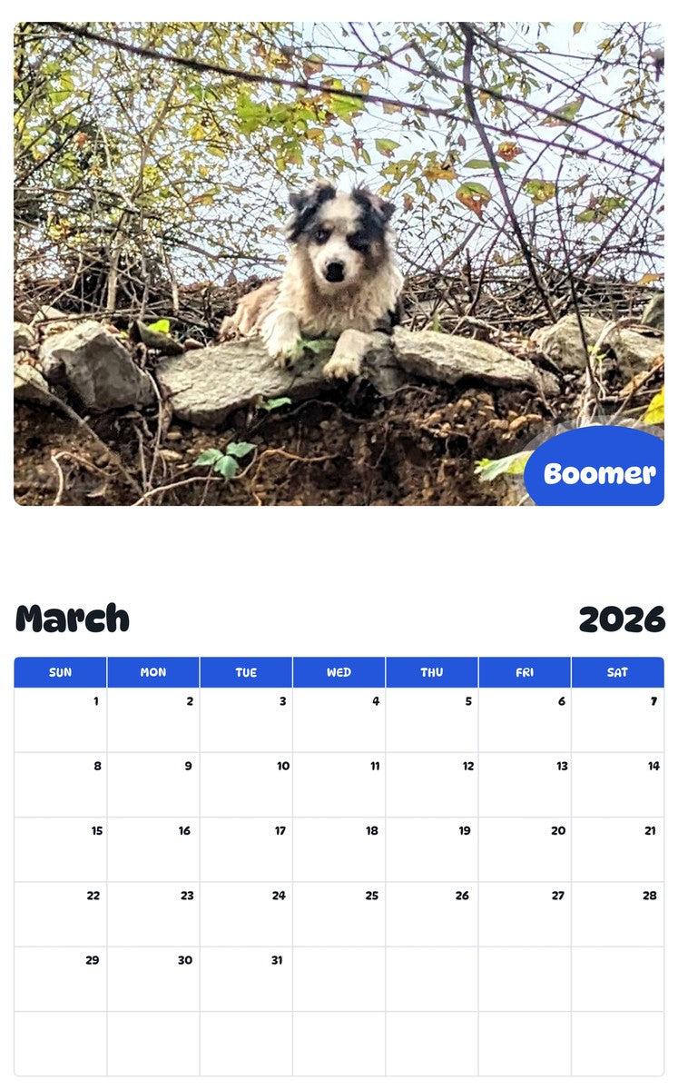 November 2025 - October 2026 Boomer - Pawidols Pet Calendar