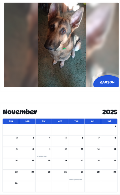 July 2025 - June 2026 Jaxson - Pawidols Pet Calendar