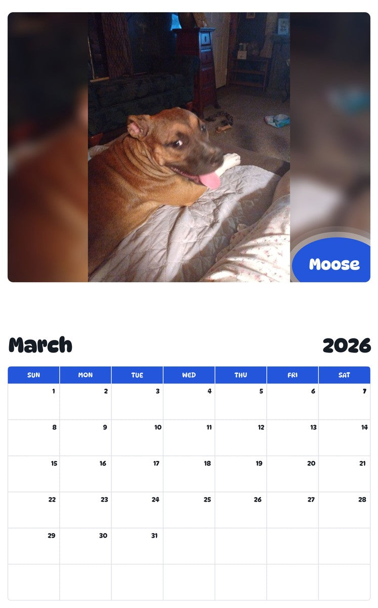 November 2025 - October 2026 Moose - Pawidols Pet Calendar