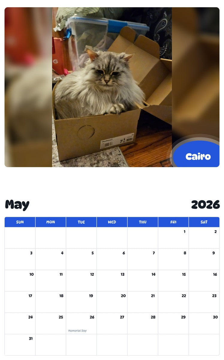 2026 - 2027 Cairo - Pawidols Pet Calendar