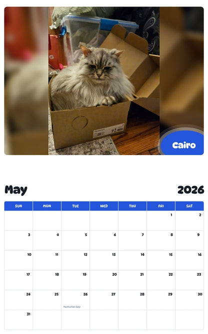 2026 - 2027 Cairo - Pawidols Pet Calendar