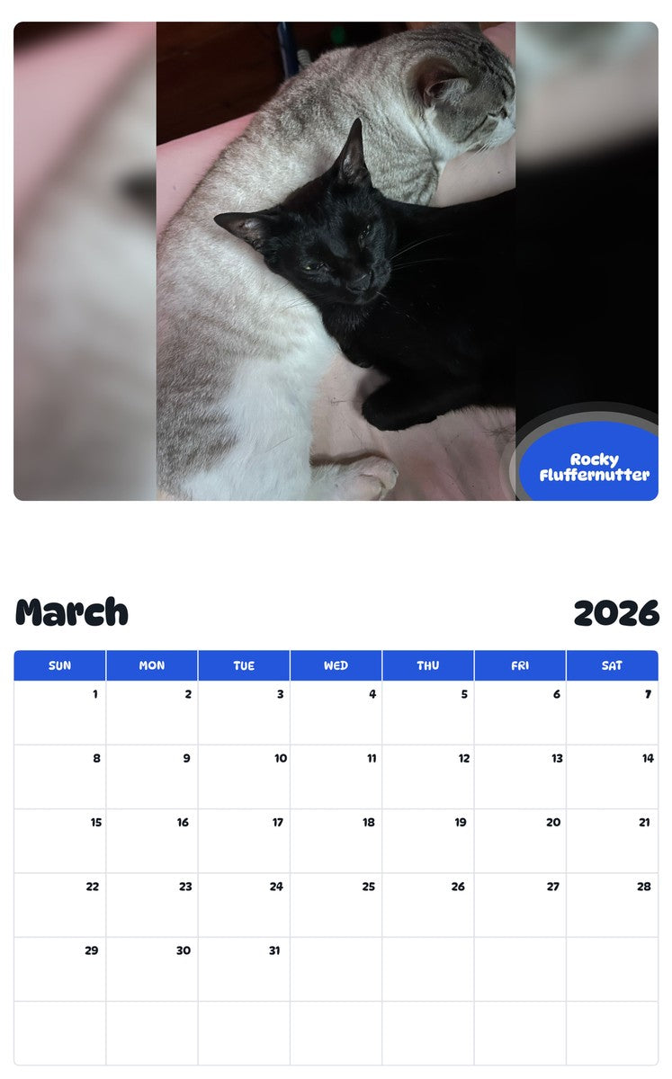 November 2025 - October 2026 Rocky Fluffernutter - Pawidols Pet Calendar