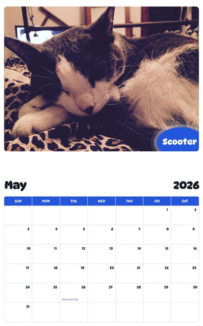 2026 - 2027 Scooter - Pawidols Pet Calendar