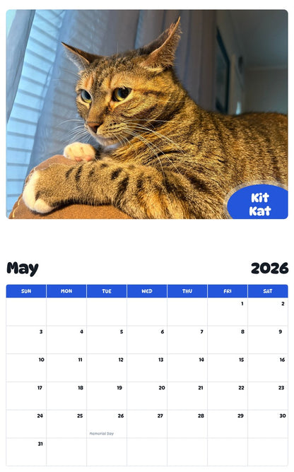 2026 - 2027 Kit Kat - Pawidols Pet Calendar