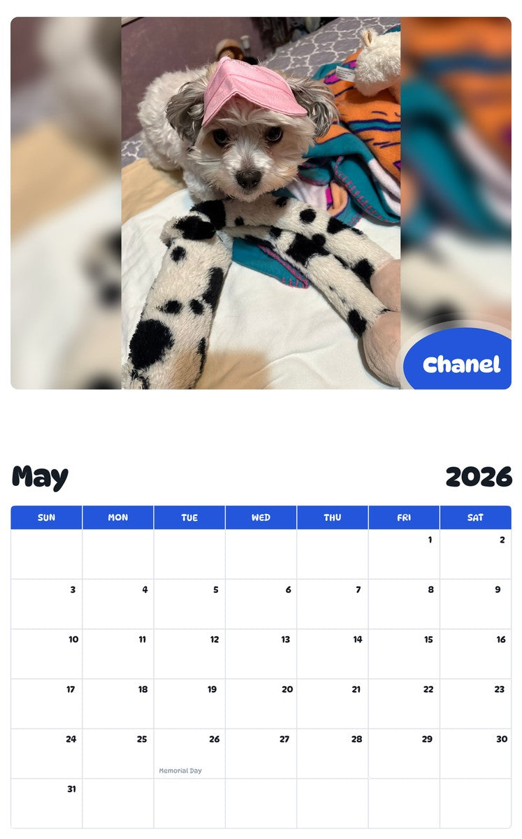 2026 - 2027 Chanel - Pawidols Pet Calendar