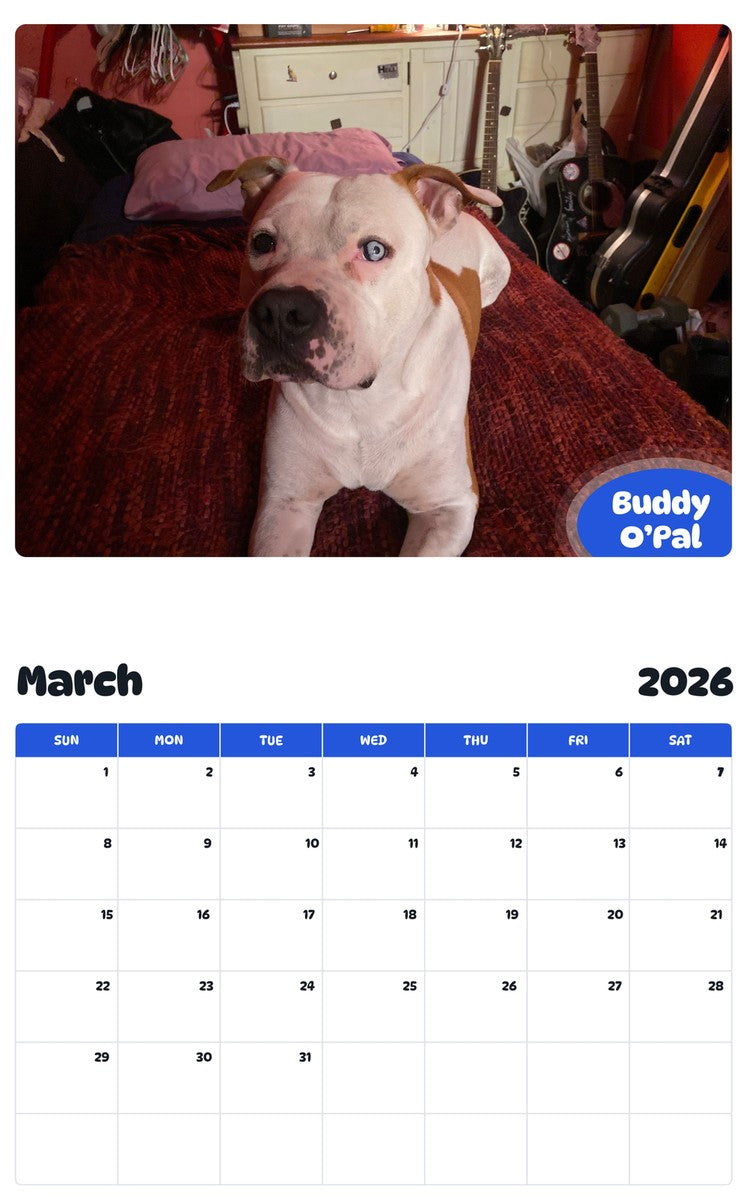 November 2025 - October 2026 Buddy O’Pal - Pawidols Pet Calendar