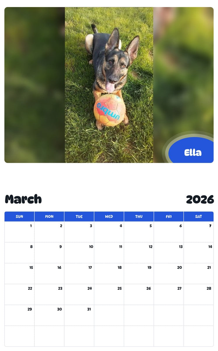 November 2025 - October 2026 Ella - Pawidols Pet Calendar