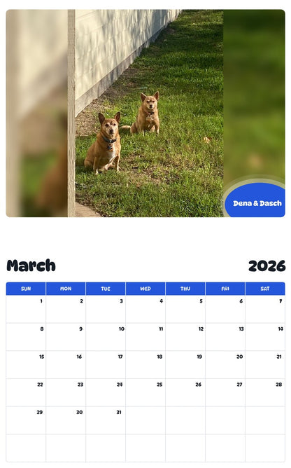 November 2025 - October 2026 Dena & Dasch - Pawidols Pet Calendar