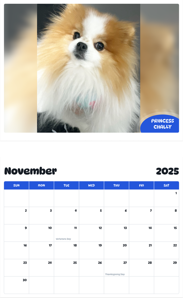 July 2025 - June 2026 Princess Chally - Pawidols Pet Calendar