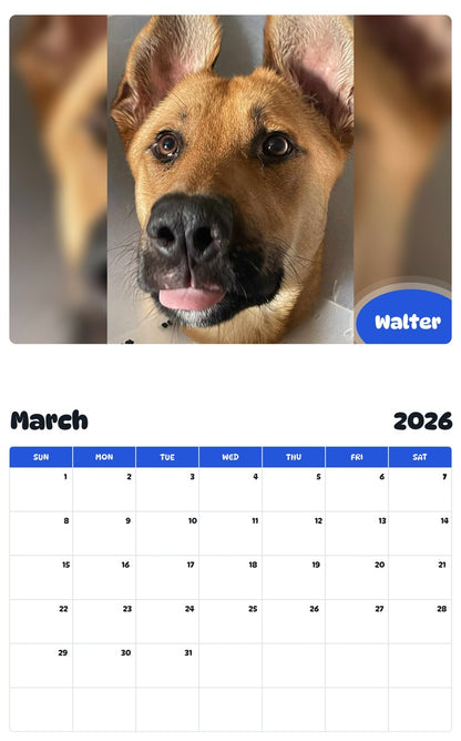 November 2025 - October 2026 Walter - Pawidols Pet Calendar