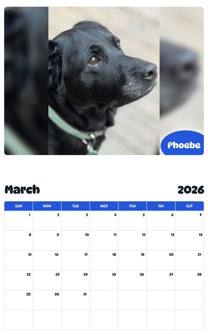 November 2025 - October 2026 Phoebe - Pawidols Pet Calendar