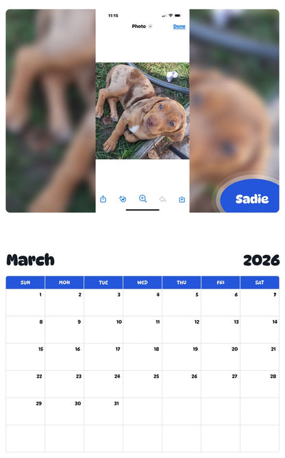 November 2025 - October 2026 Sadie - Pawidols Pet Calendar