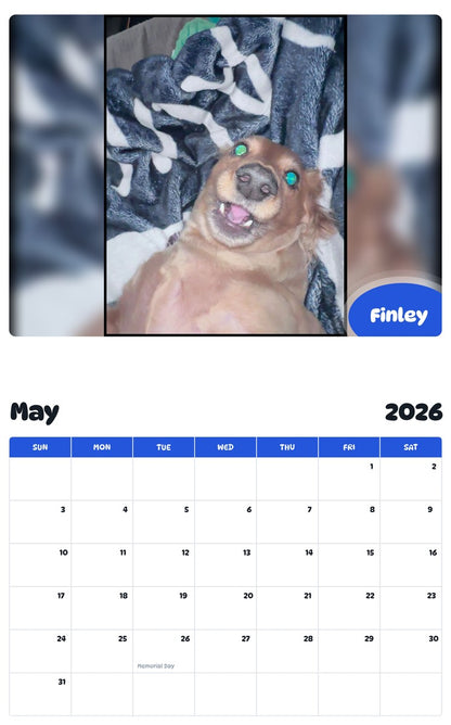 2026 - 2027 Finley - Pawidols Pet Calendar