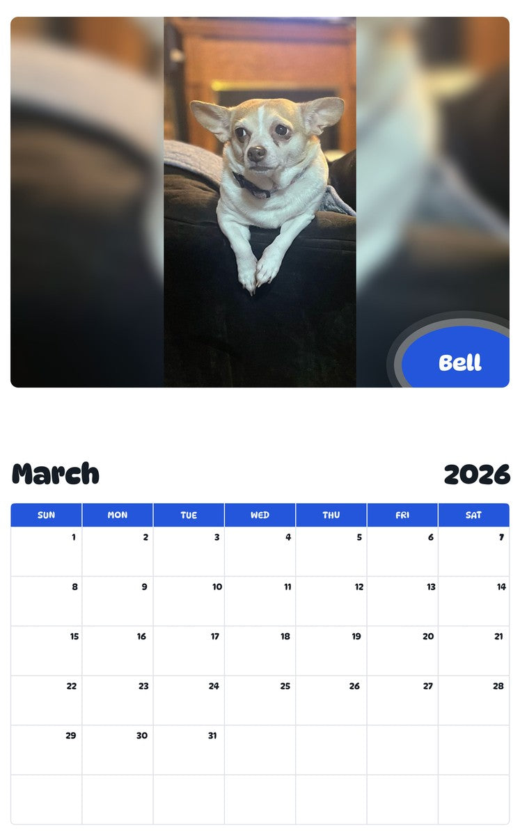 November 2025 - October 2026 Bell - Pawidols Pet Calendar