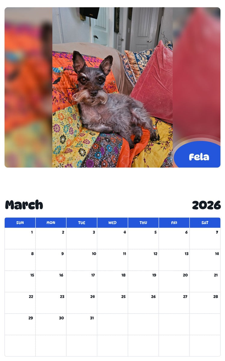 November 2025 - October 2026 Fela - Pawidols Pet Calendar