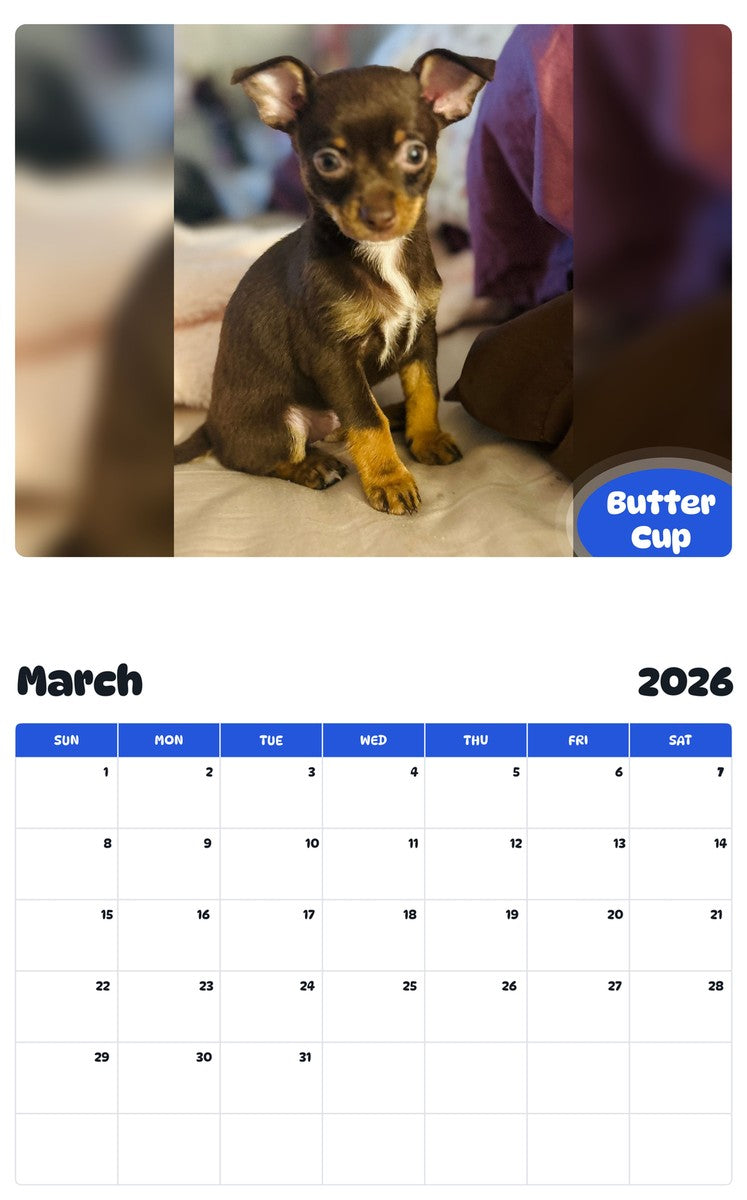 November 2025 - October 2026 Butter Cup - Pawidols Pet Calendar
