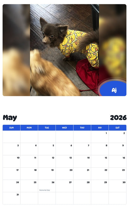 2026 - 2027 Aj - Pawidols Pet Calendar