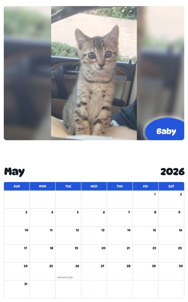 2026 - 2027 Baby - Pawidols Pet Calendar