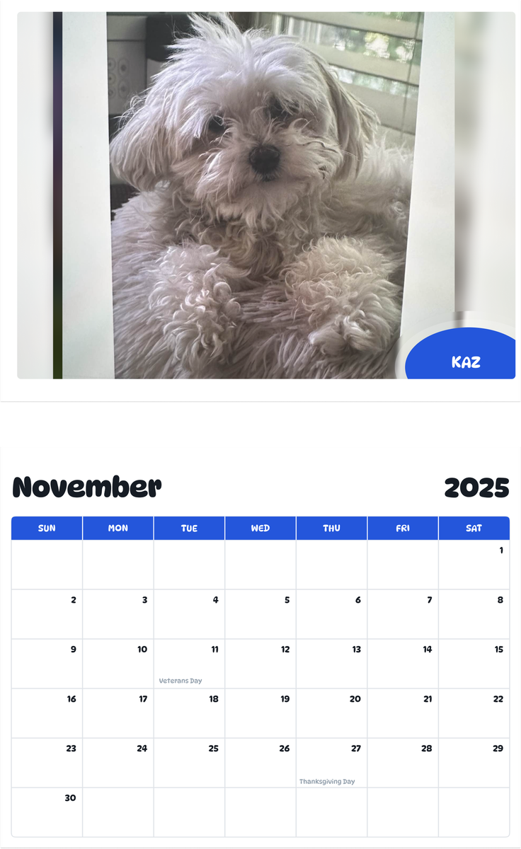 July 2025 - June 2026 Kaz - Pawidols Pet Calendar