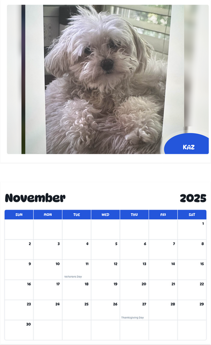 July 2025 - June 2026 Kaz - Pawidols Pet Calendar