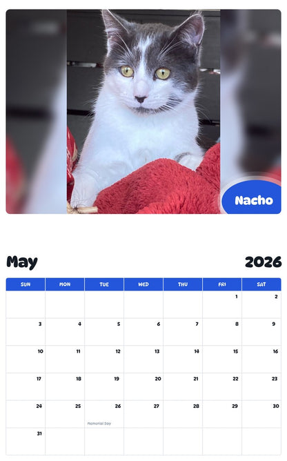 2026 - 2027 Nacho - Pawidols Pet Calendar