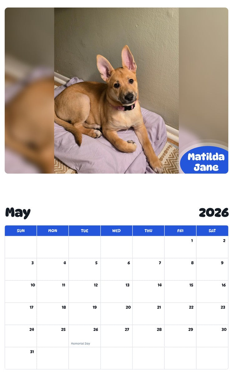 2026 - 2027 Matilda Jane - Pawidols Pet Calendar