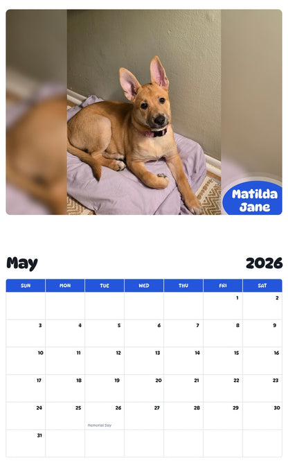 2026 - 2027 Matilda Jane - Pawidols Pet Calendar