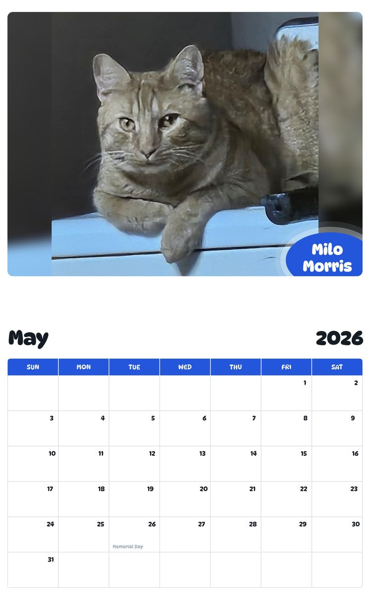 2026 - 2027 Milo Morris - Pawidols Pet Calendar