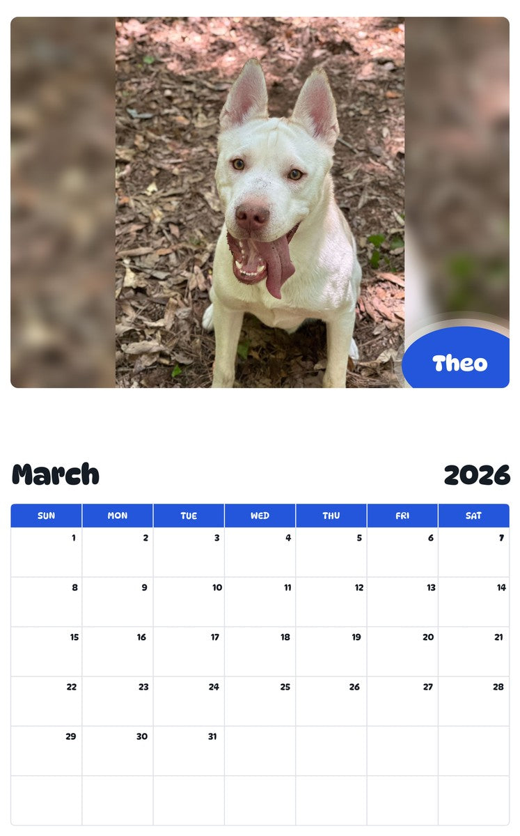 November 2025 - October 2026 Theo - Pawidols Pet Calendar
