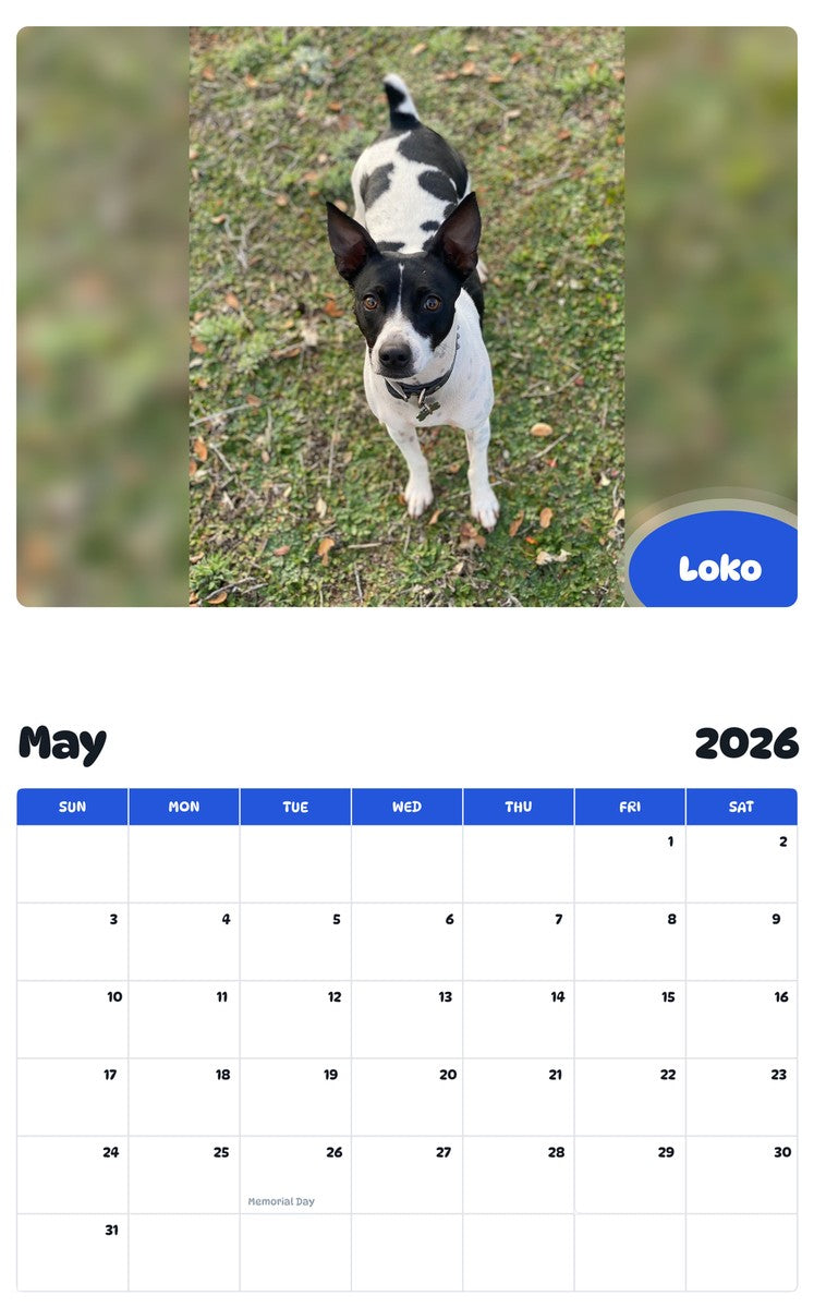 2026 - 2027 Loko - Pawidols Pet Calendar