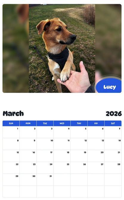 November 2025 - October 2026 Lucy - Pawidols Pet Calendar