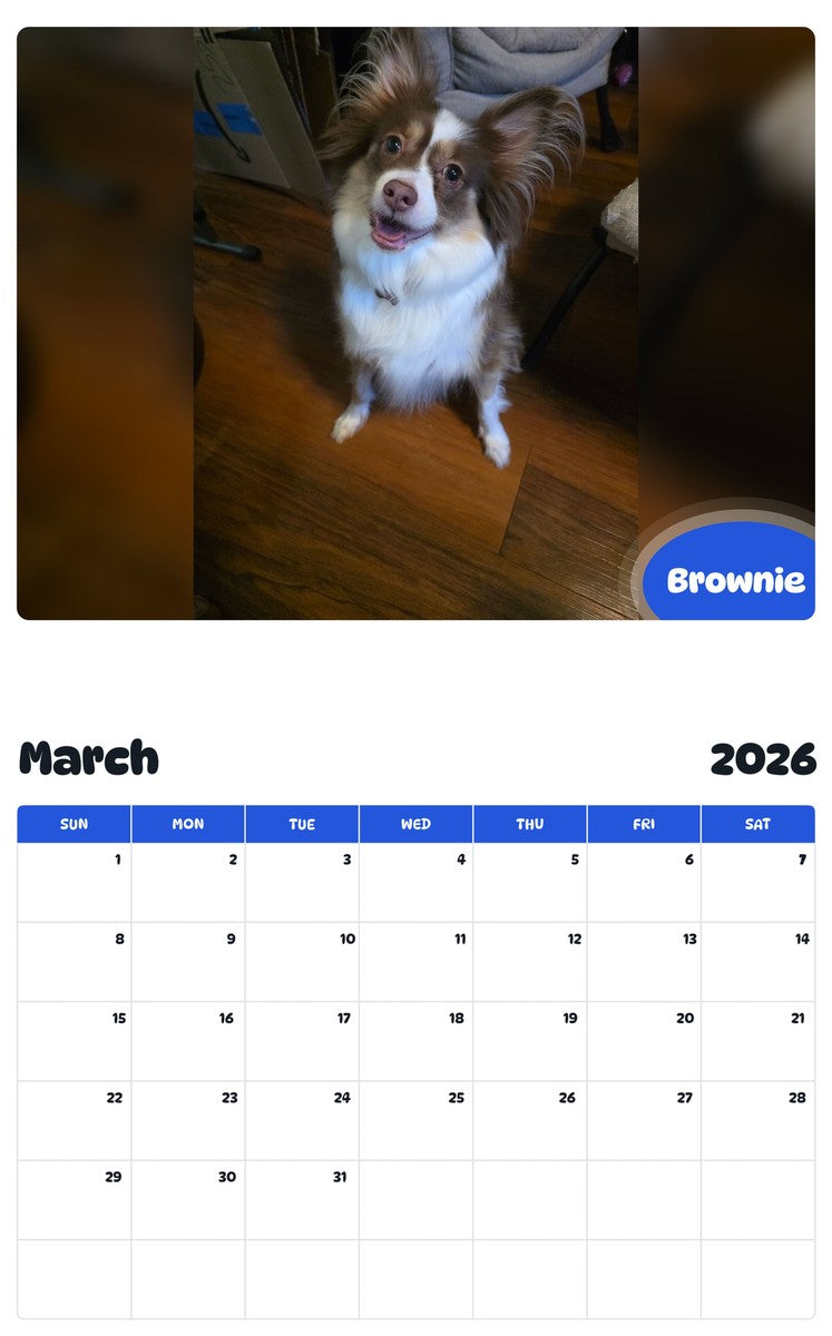 November 2025 - October 2026 Brownie - Pawidols Pet Calendar