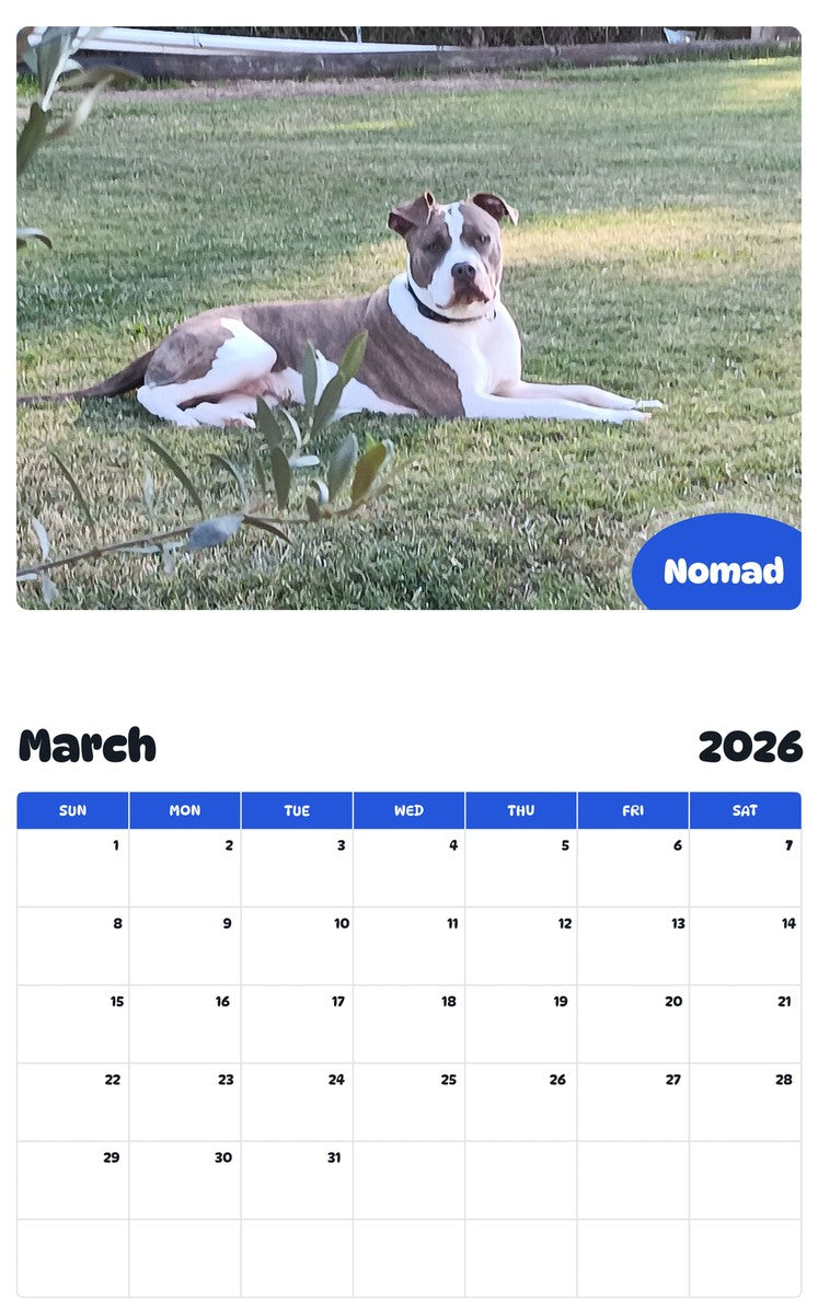 November 2025 - October 2026 Nomad - Pawidols Pet Calendar