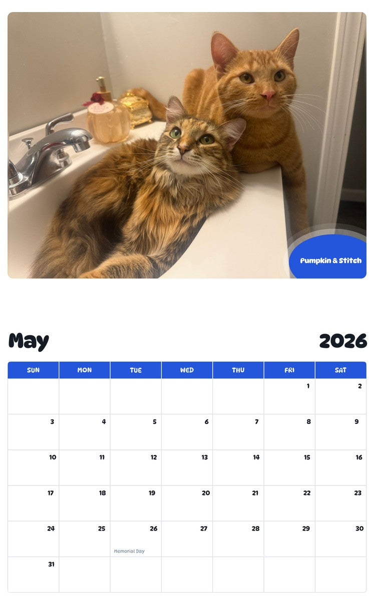 2026 - 2027 Pumpkin & Stitch - Pawidols Pet Calendar