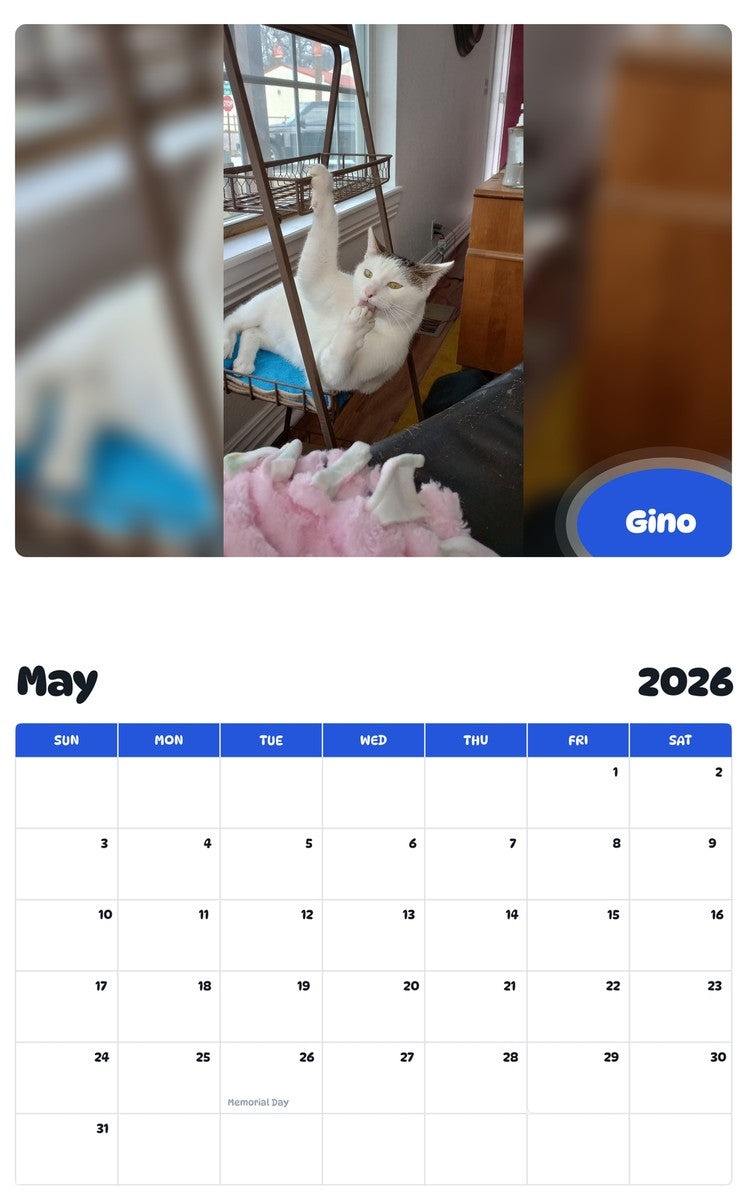 2026 - 2027 Gino - Pawidols Pet Calendar