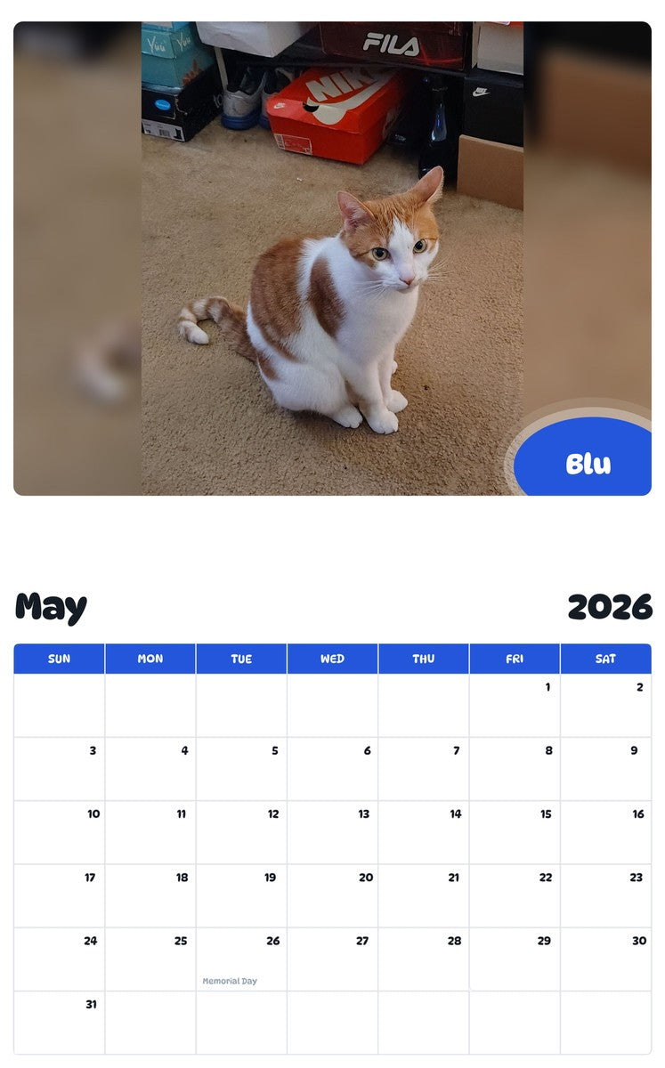 2026 - 2027 Blu - Pawidols Pet Calendar