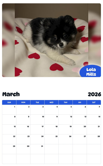 November 2025 - October 2026 Lola Mills - Pawidols Pet Calendar