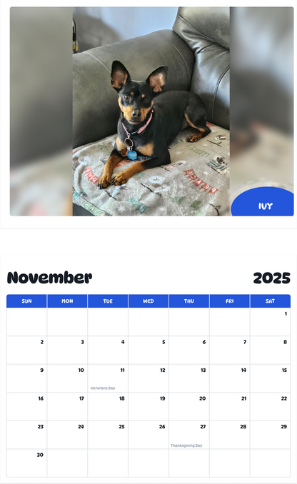 July 2025 - June 2026 Ivy - Pawidols Pet Calendar