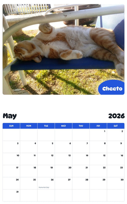 2026 - 2027 Cheeto - Pawidols Pet Calendar