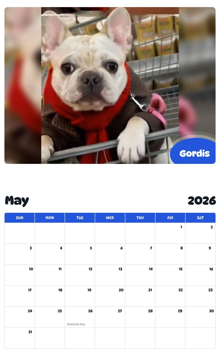 2026 - 2027 Gordis - Pawidols Pet Calendar