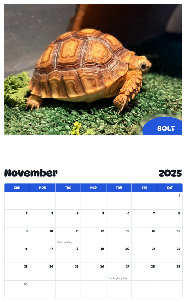 July 2025 - June 2026 Bolt - Pawidols Pet Calendar