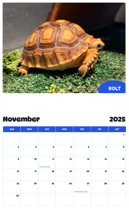 July 2025 - June 2026 Bolt - Pawidols Pet Calendar