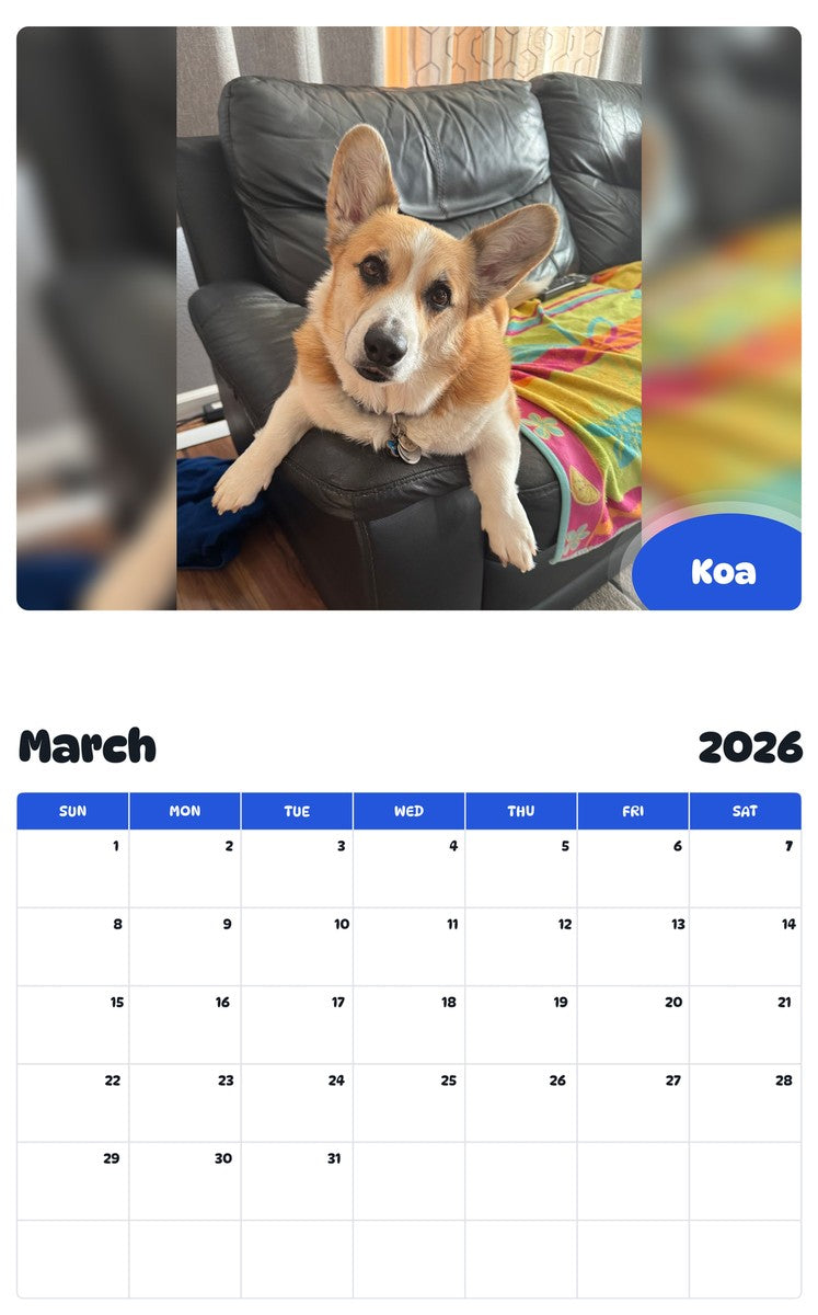 November 2025 - October 2026 Koa - Pawidols Pet Calendar