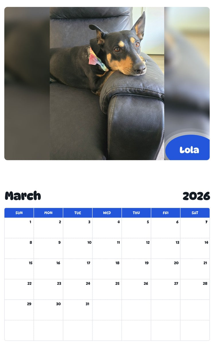November 2025 - October 2026 Lola - Pawidols Pet Calendar