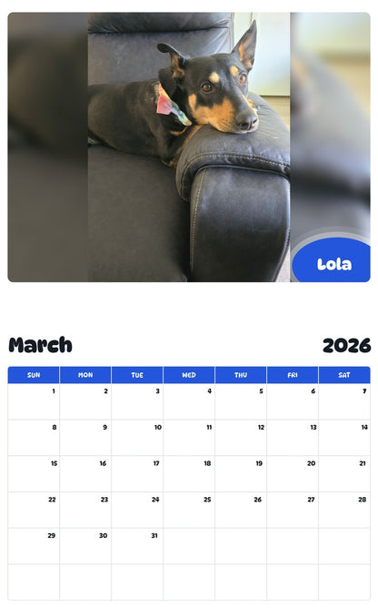 November 2025 - October 2026 Lola - Pawidols Pet Calendar